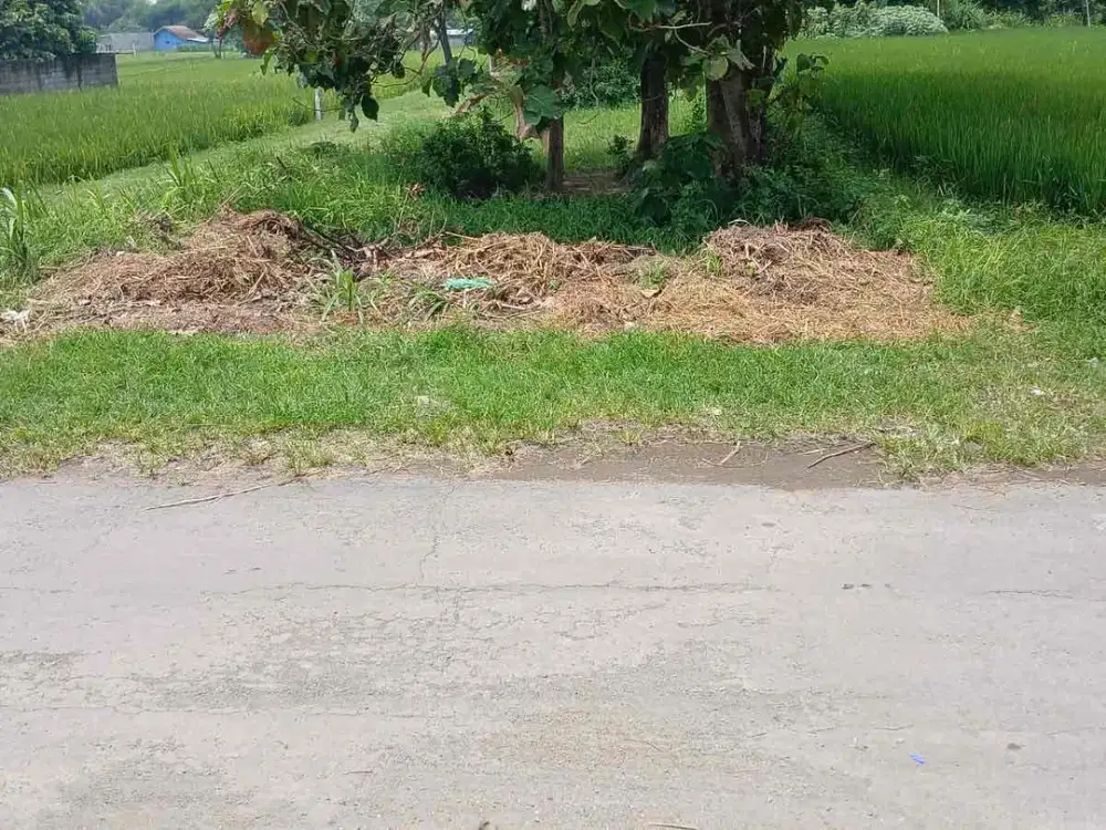 Dijual Tanah Pekarangan di Kalitirto Berbah