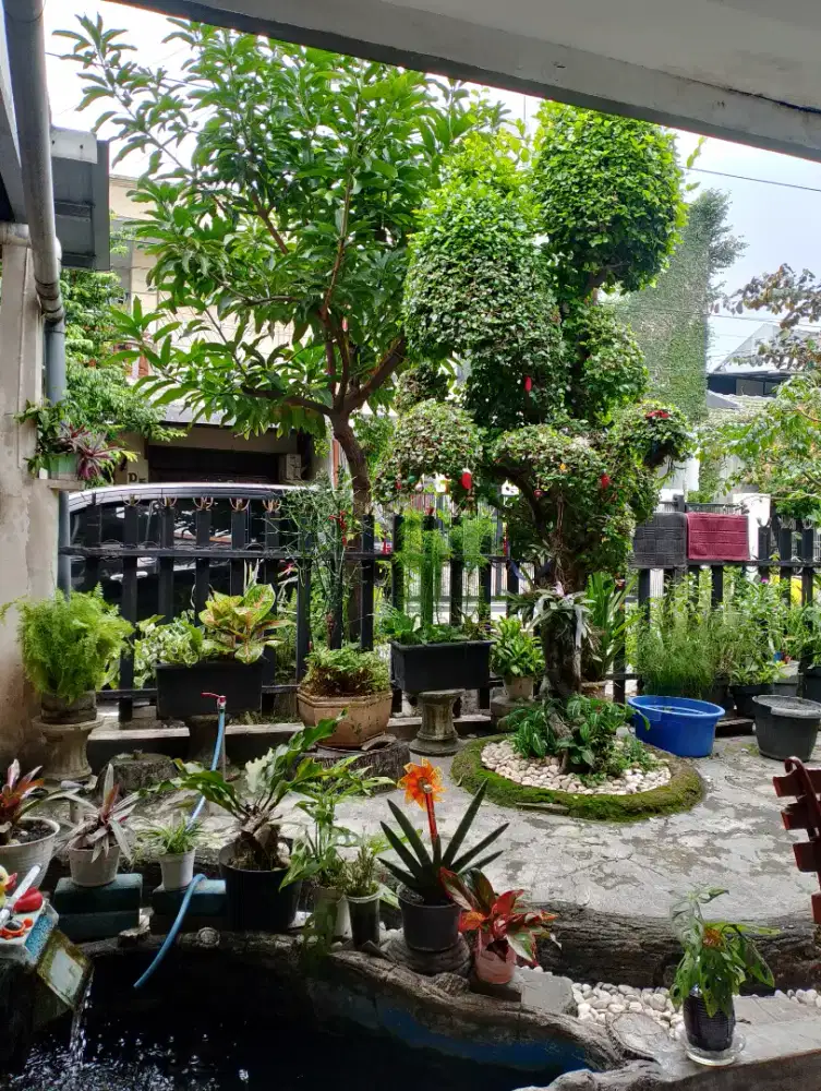 Kost Putri rungkut permai