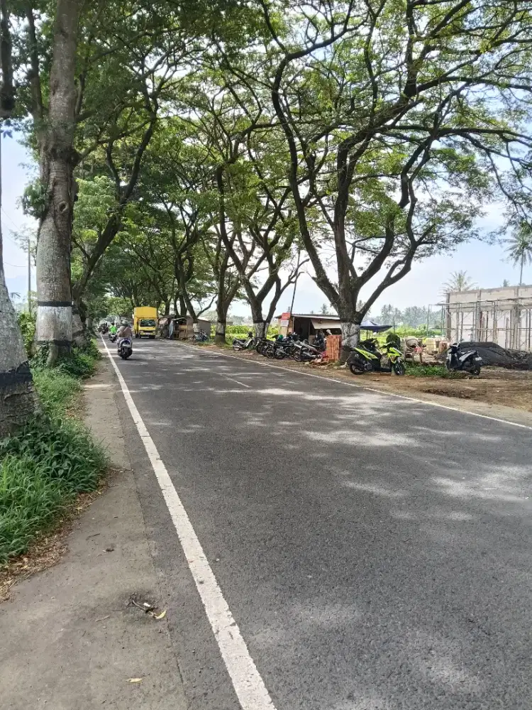 Jual tanah poros jalan raya cocok buat usaha