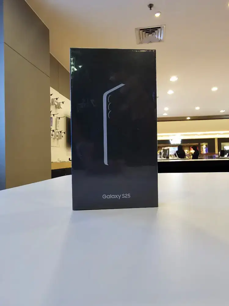 Samsjng S25 12/256