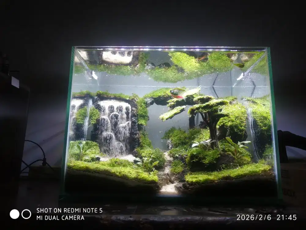Aquarium aquascape air terjun