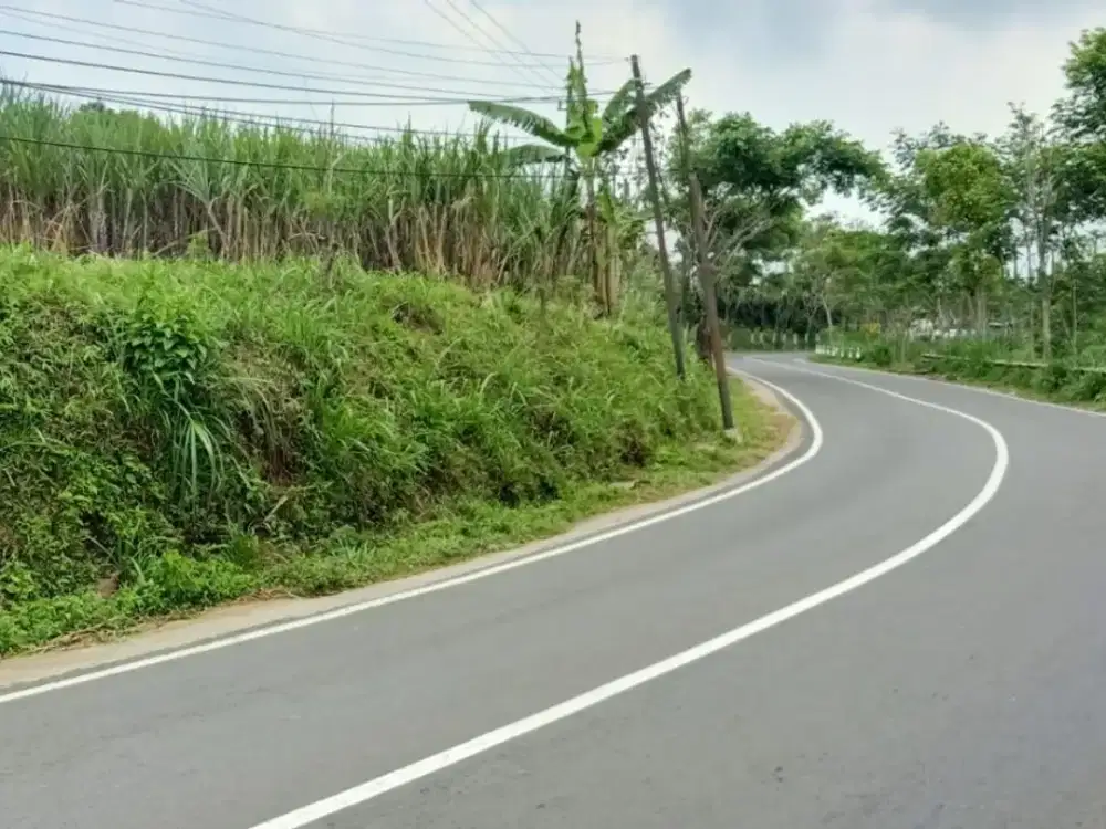 Dijual Tanah Murah di Sawiran Dawuhan Sengon Nongkojajar Pasuruan