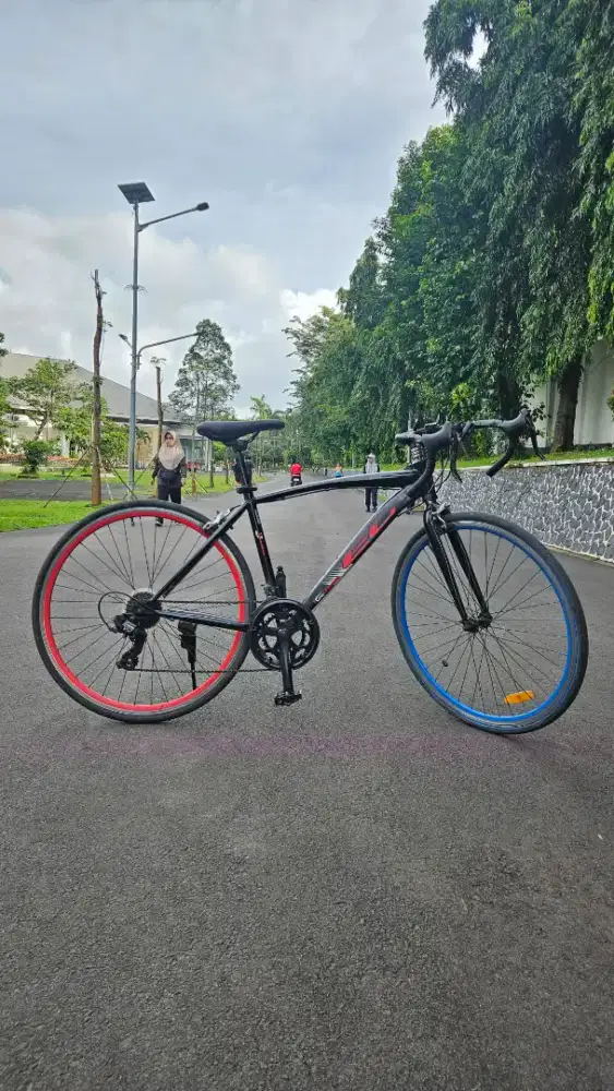 WTS : Sepeda balap/Road bike EVERGREEN RAPIER (EG16-07) >27.5 -size m