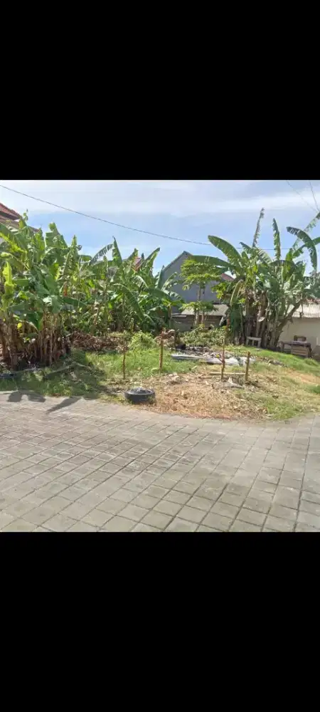 Di jual tanah 1,68 are di sedap malam dekat sanur denpasar bali