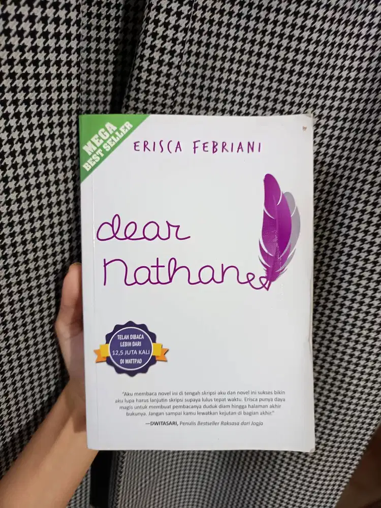 Dear Nathan Karya Erisca Febriani Novel Fiksi Romansa Remaja Preloved
