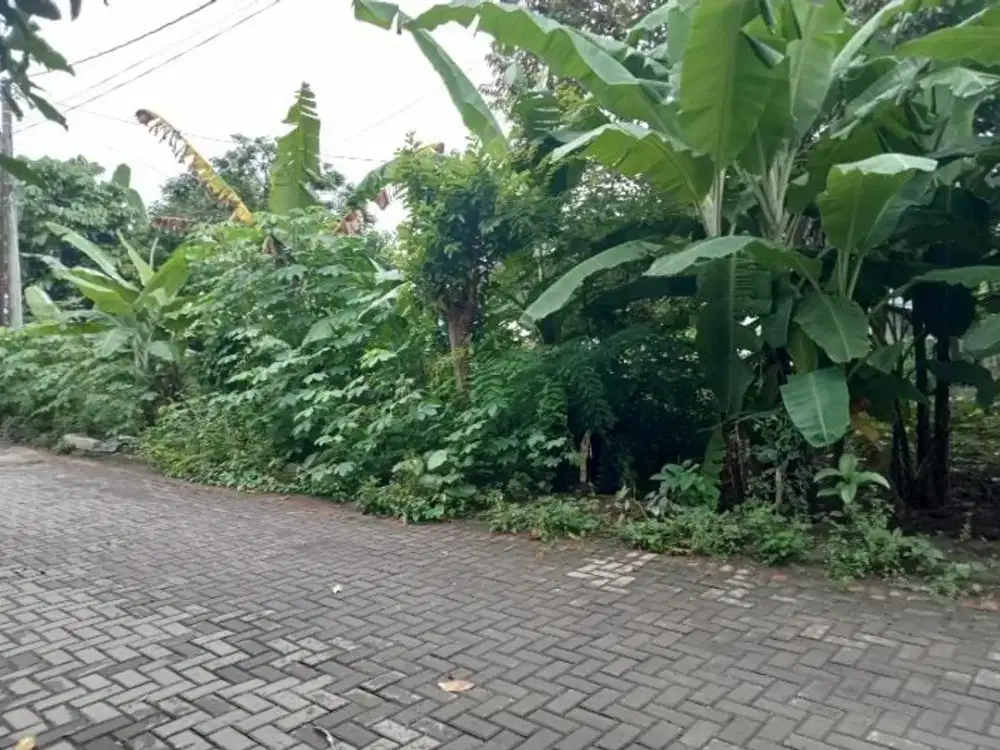 TANAH PEKARANGAN DI MAGUWOHARJO DEKAT STADION