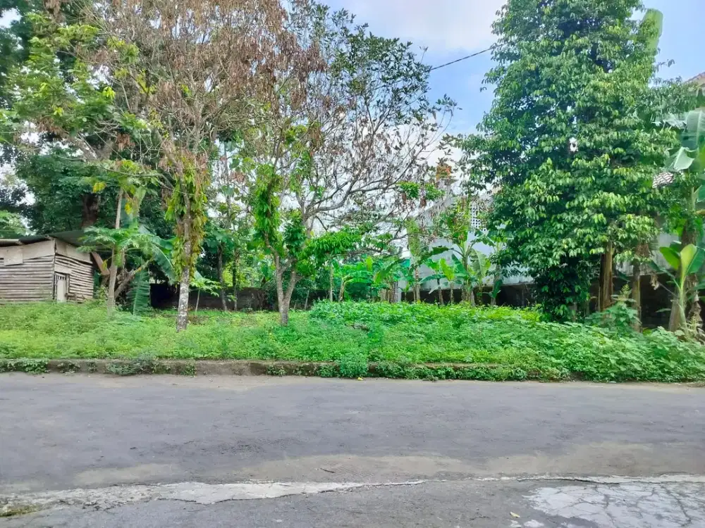 TANAH PEKARANGAN DI UTARA STADION MAGUWOHARJO