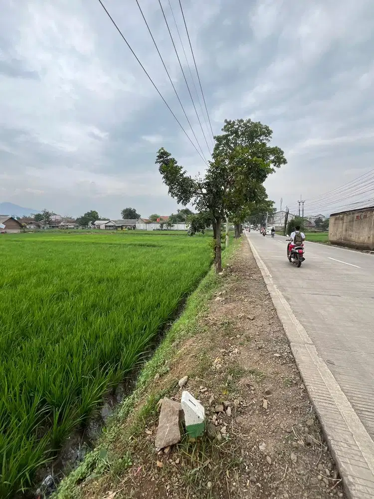 Dijual Tanah TANPA PERANTARA