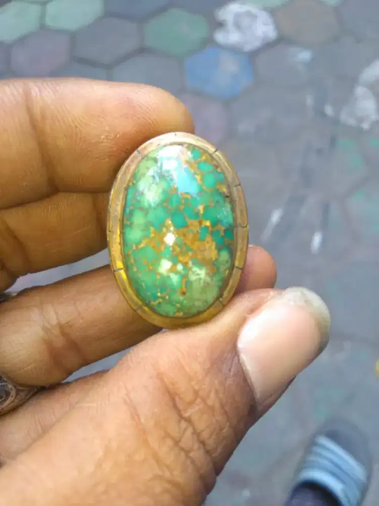 Pirus Persia urat emas