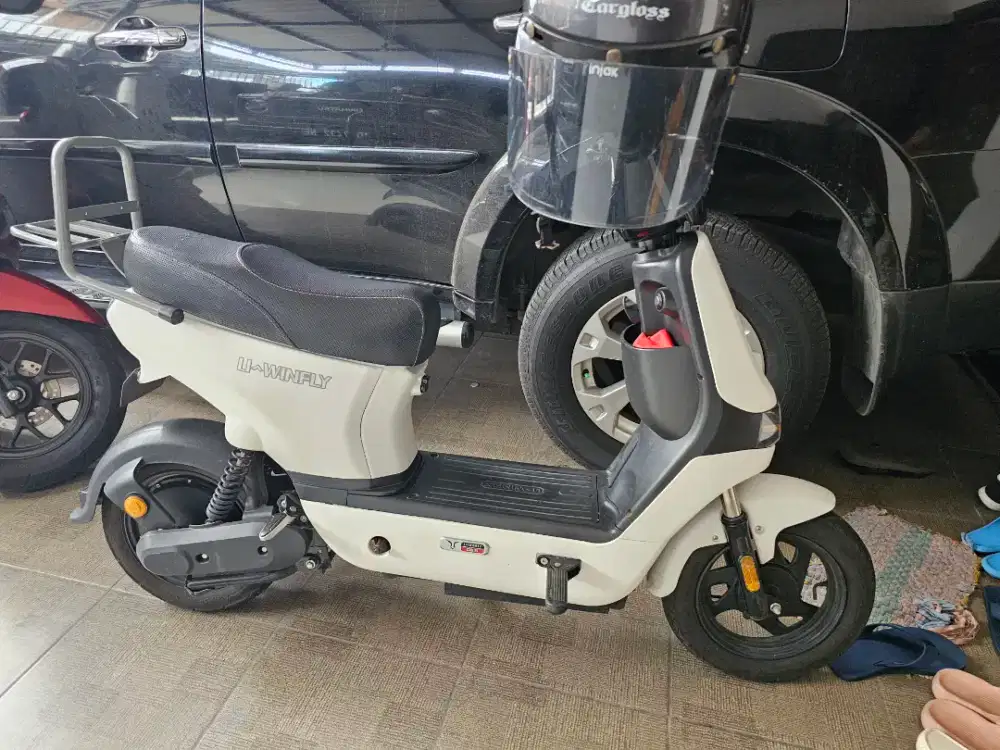 Sepeda Listrik Uwinfly D8S 800 Watt