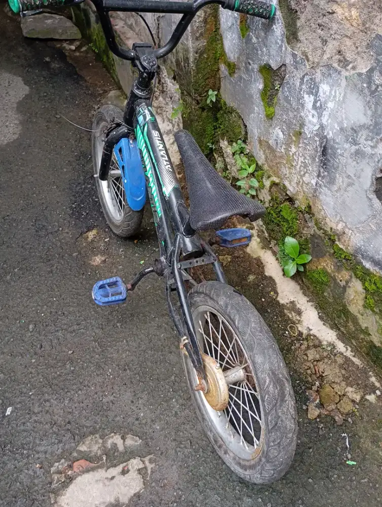 Sepeda anak umur 8 Sd 10 tahun