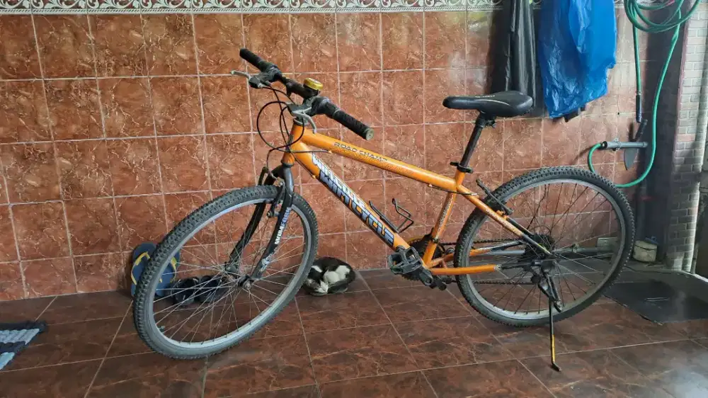 Wim Cycle Road champ