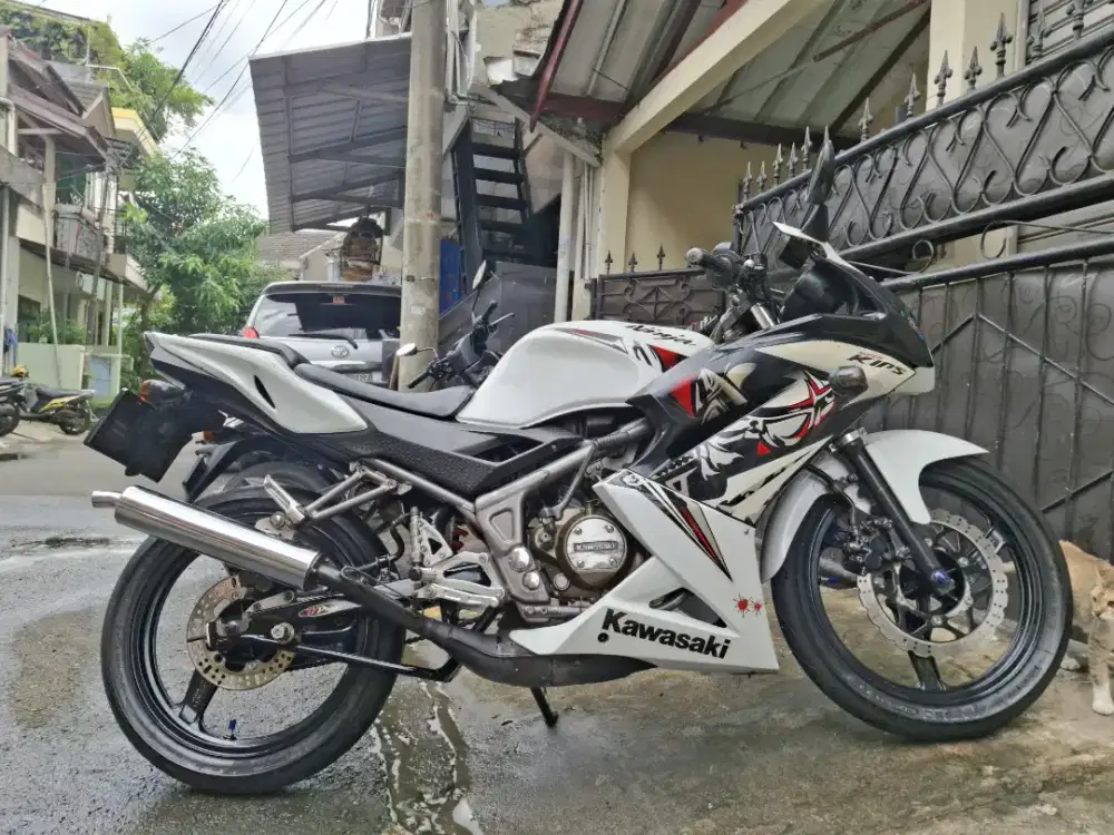 Ninja 150 rr new