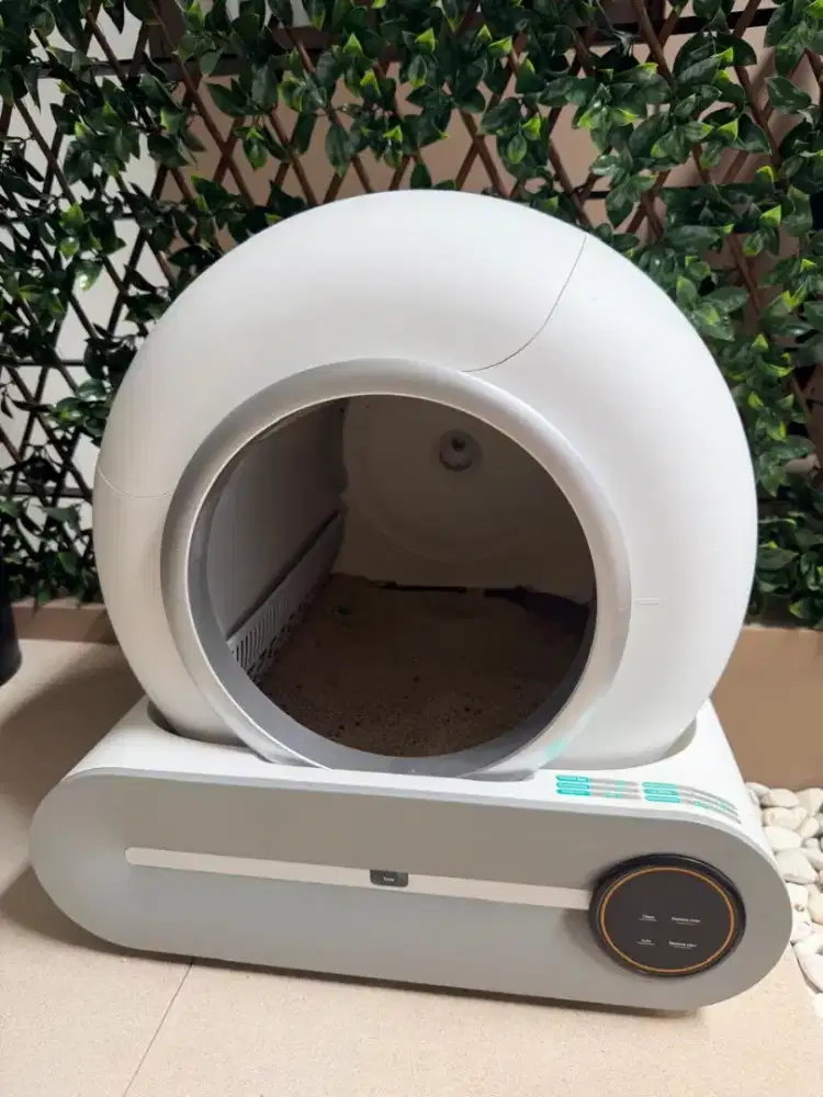 Cat liter box otomatis
