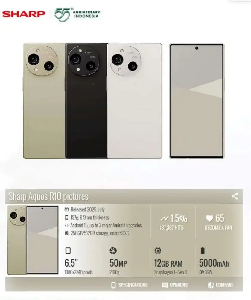 Sharp Aquos R10 Trench Beige Ram 12/512GB