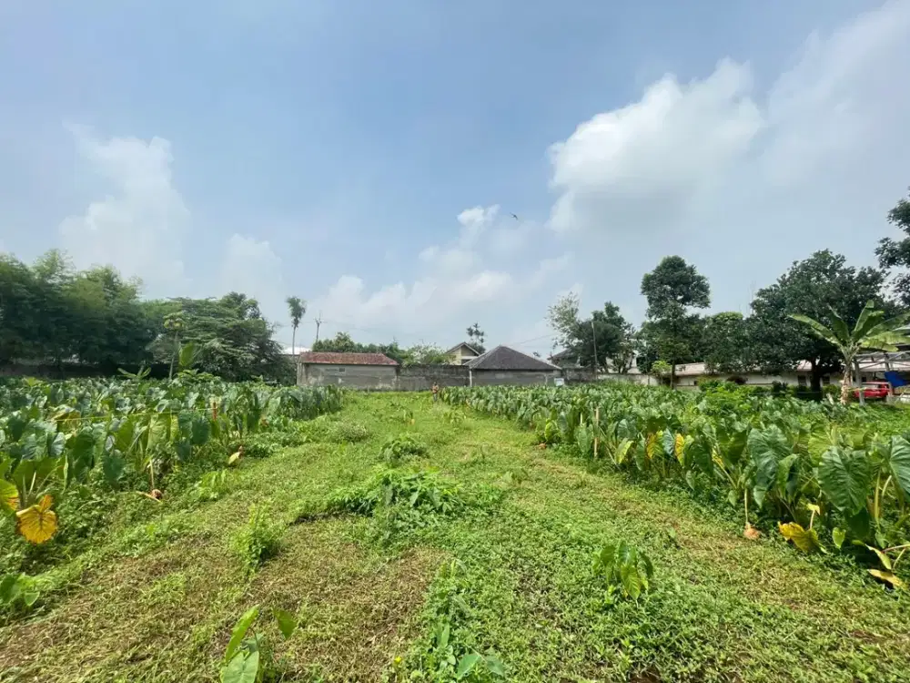 Kavling Dekat Terminal Bubulak Promo Imlek Angpao 20 Jt