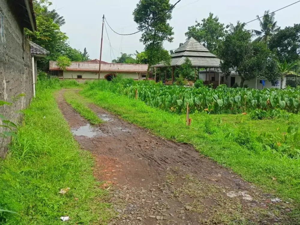 Diskon 20 Juta, Kavling Dekat IPB Dramaga