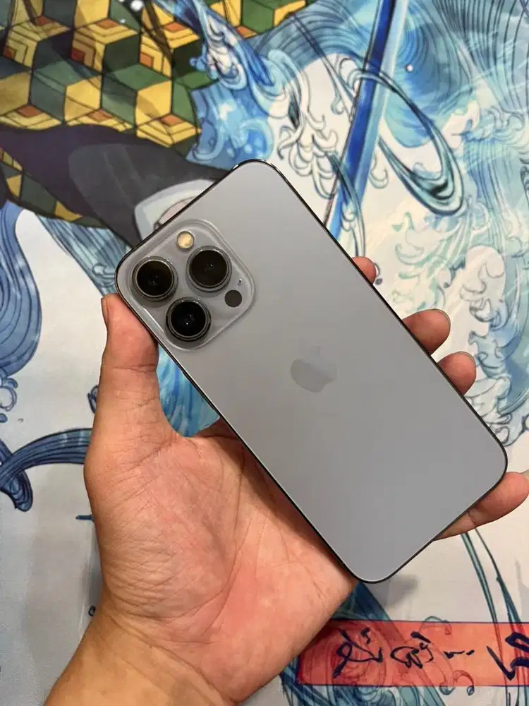 iPhone 13 Pro 256 GB iBox