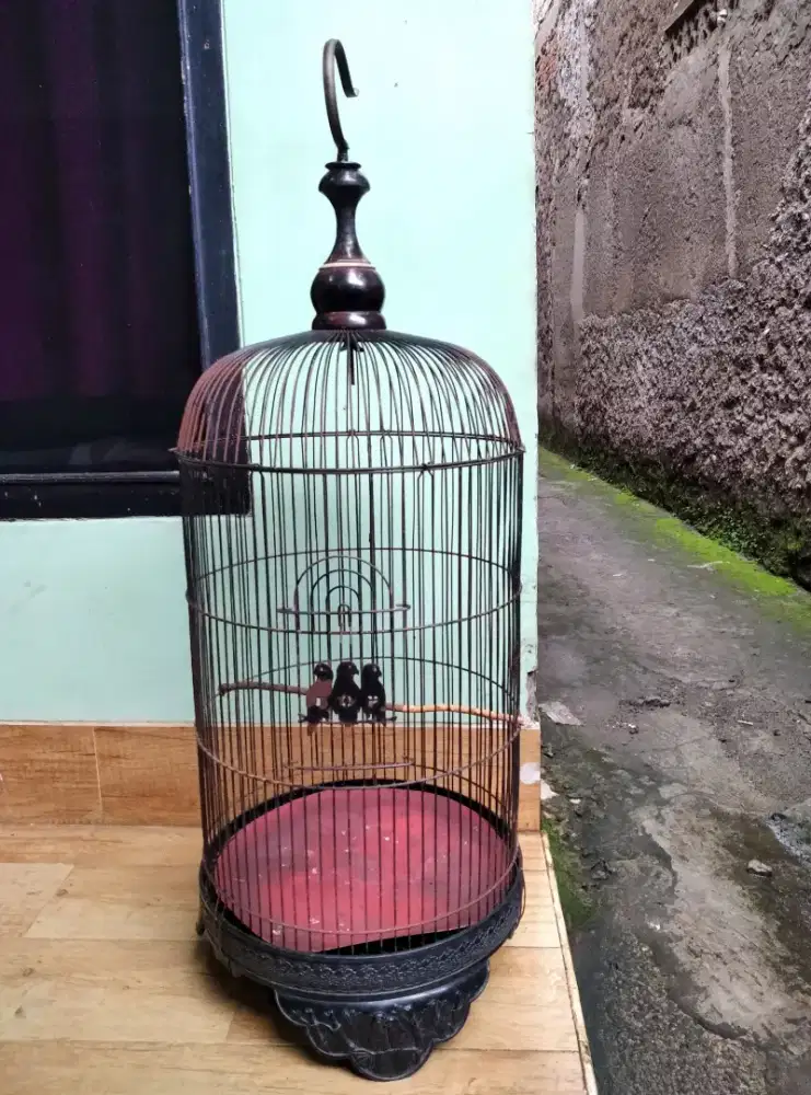 Kandang bekas burung lovebird pintu tengah