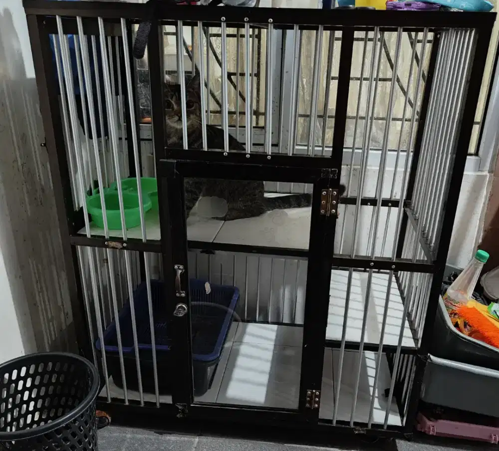 Kandang kucing almunium