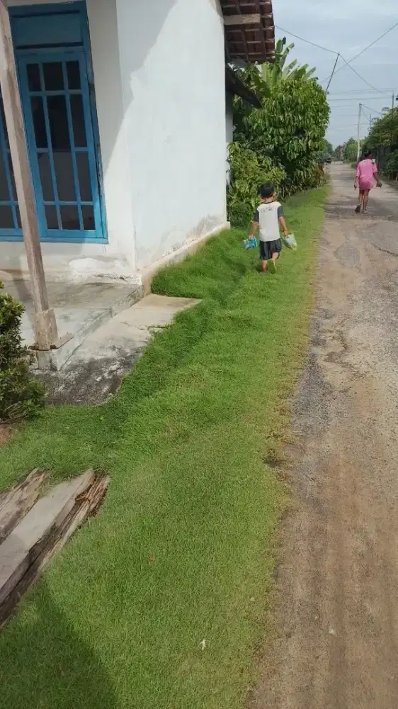 Cari kerja buat saya art ngasuh anak dan urus lansia