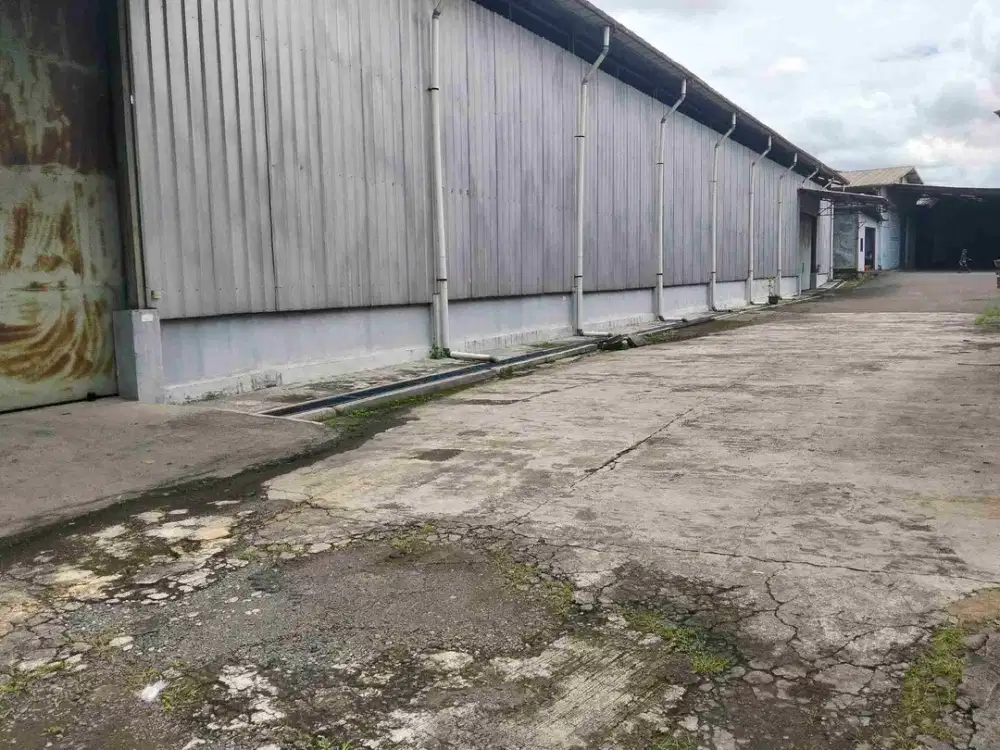 di sewakan gudang siap pakai citeureup