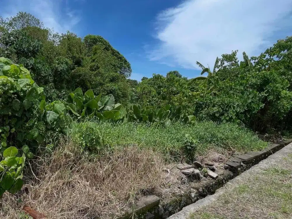 Dijual lahan hanya 150 meter dari jalan raya Tiying tutul Canggu