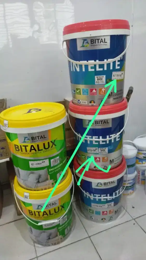 Jual cat ada dua pil