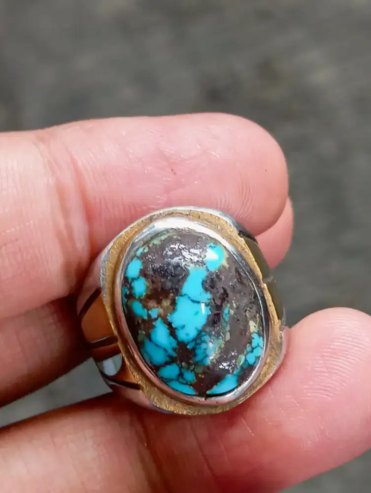 Pirus Persia Biru Fancy Lawas Ngerikil