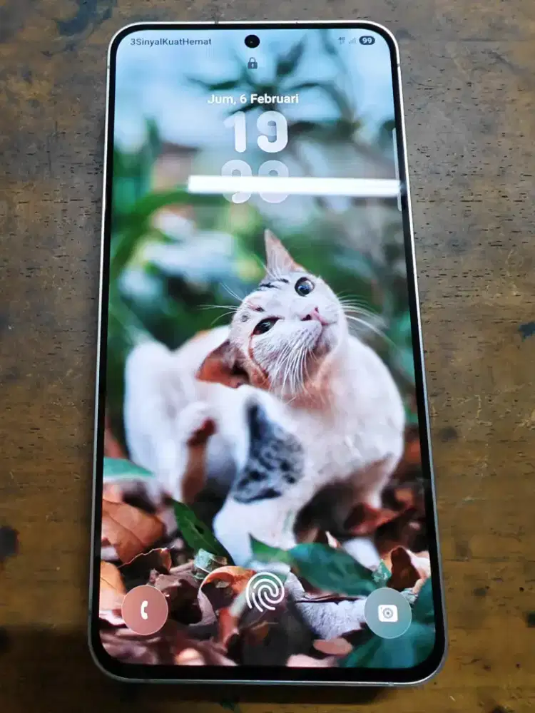 Samsung S25FE | 256GB