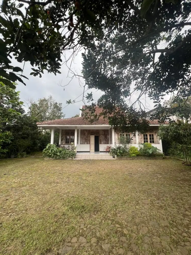 Sewa rumah adem dan asri Salatiga