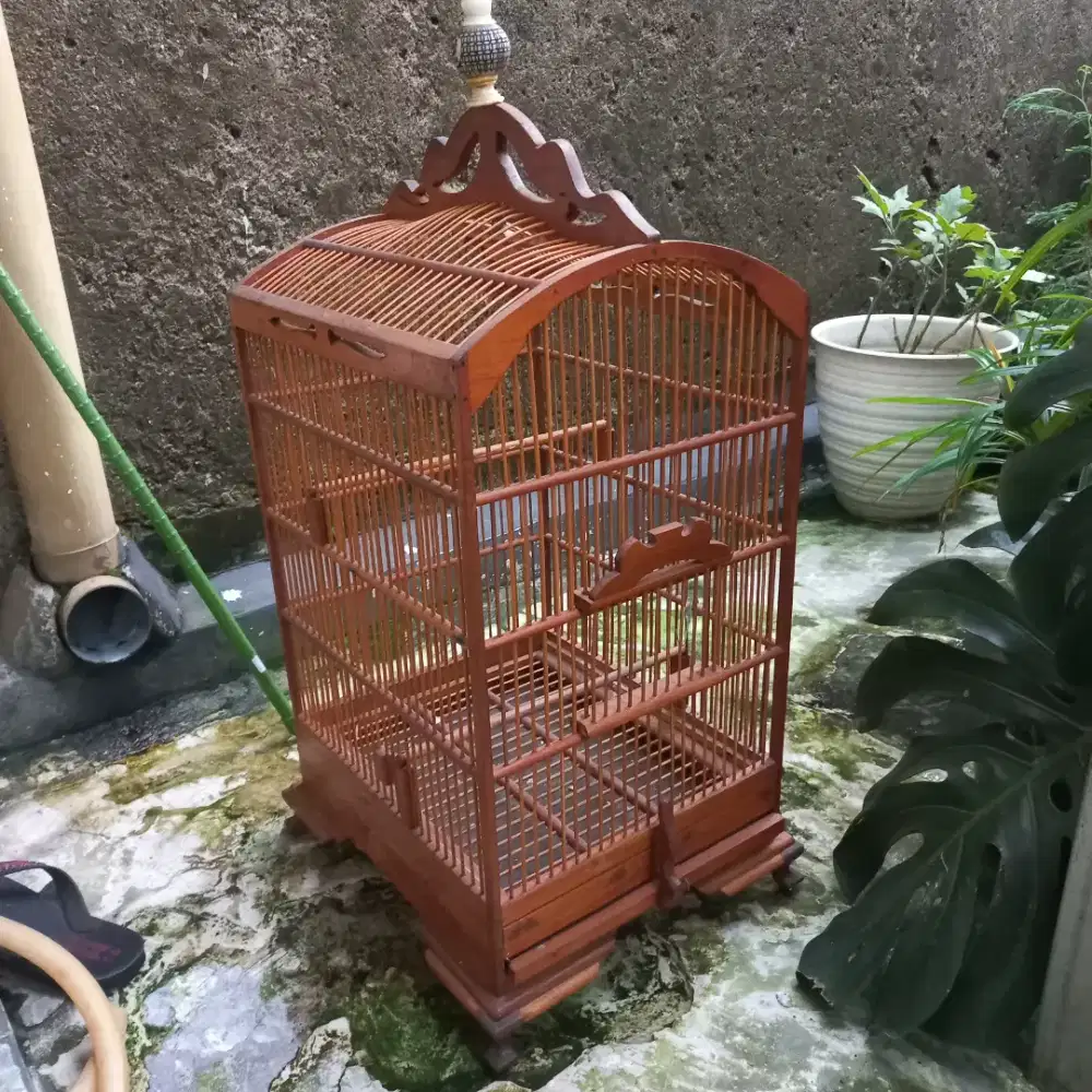 Jual Kandang Sangkar Burung Kayu Jati
