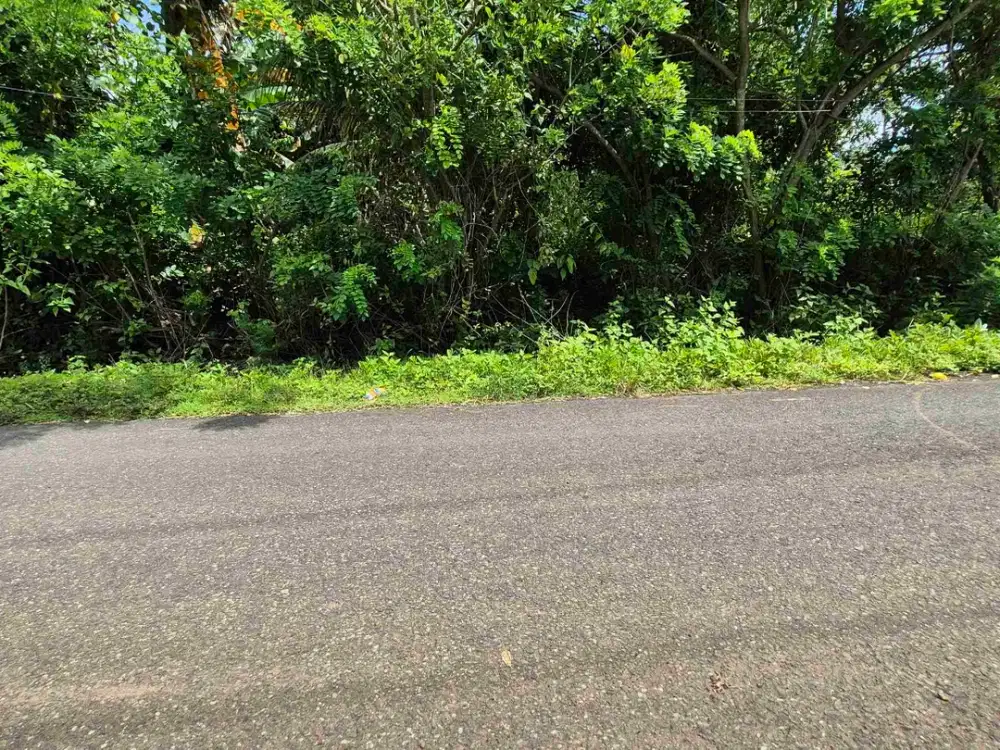 TANAH 1 HEKTAR ZONA INDUSTRI DI KOMBADING PENGAMBENGAN JEMBRANA