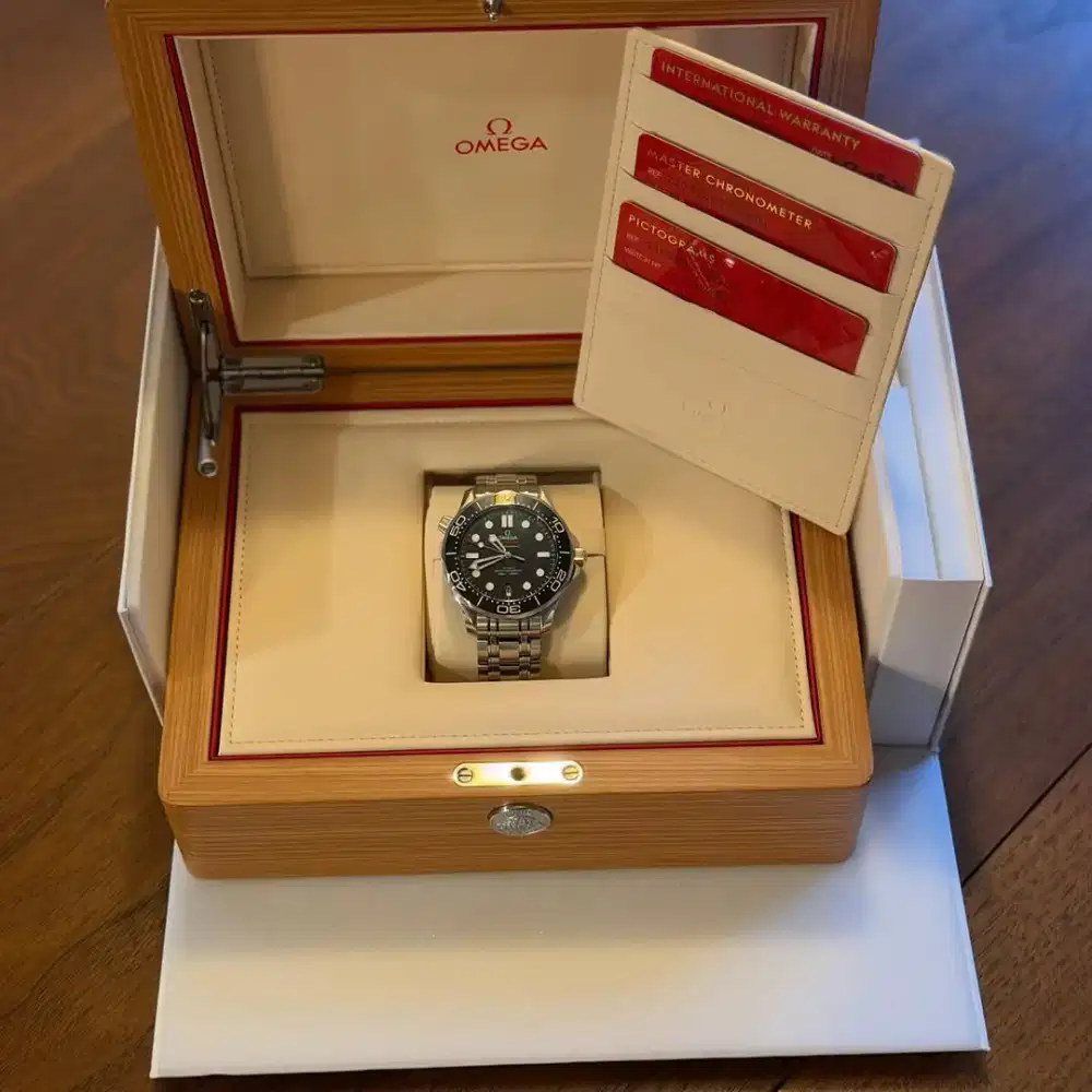 omega seamaster diver 300 th.2025