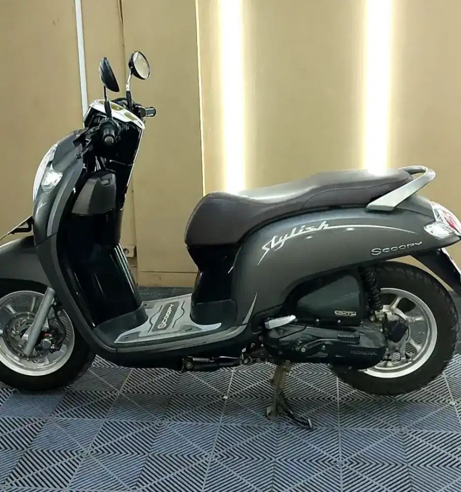 Scoopy Stylish 2020