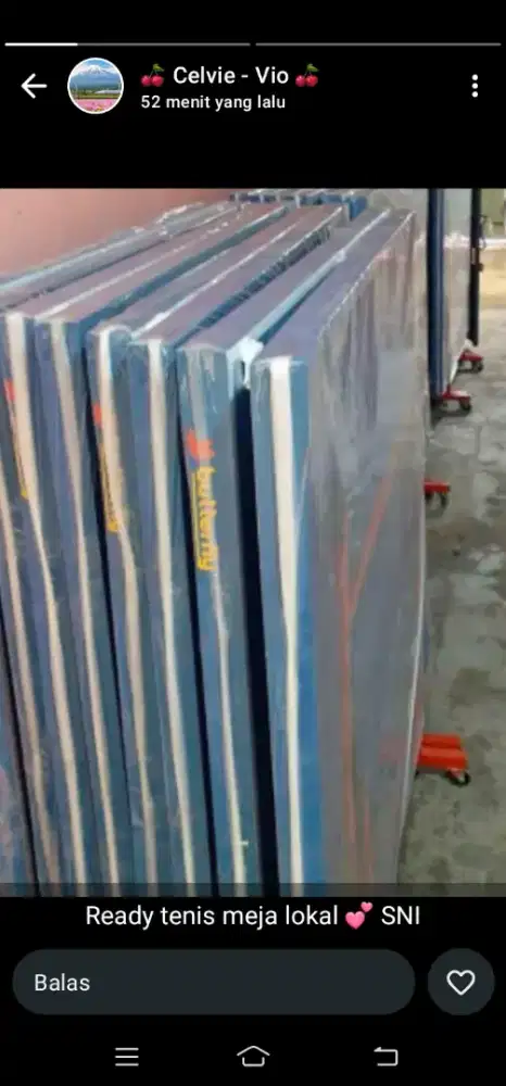 Tenis meja baru SNI