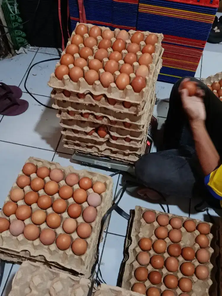 DICARI KARYAWAN PRIA