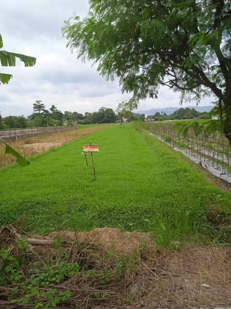 DIJUAL LAHAN SAWAH POTENSIAL, COCOK PERUMAHAN, USAHA/INVESTASI, SHM