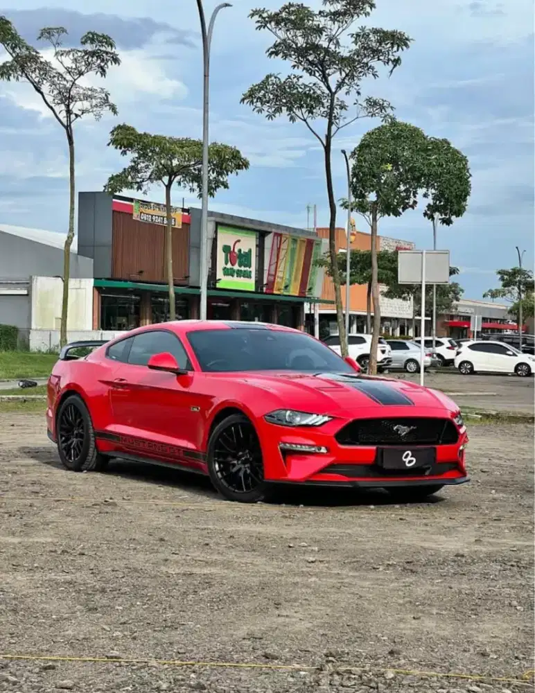 Ford Mustang GT 5.0