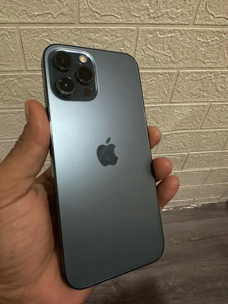 Iphone 12 pro max 128gb (pemakaian cewe)