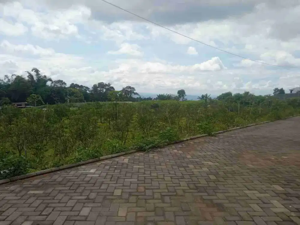 TANAH LOKASI MBOCEK KARANGPLOSO MALANG