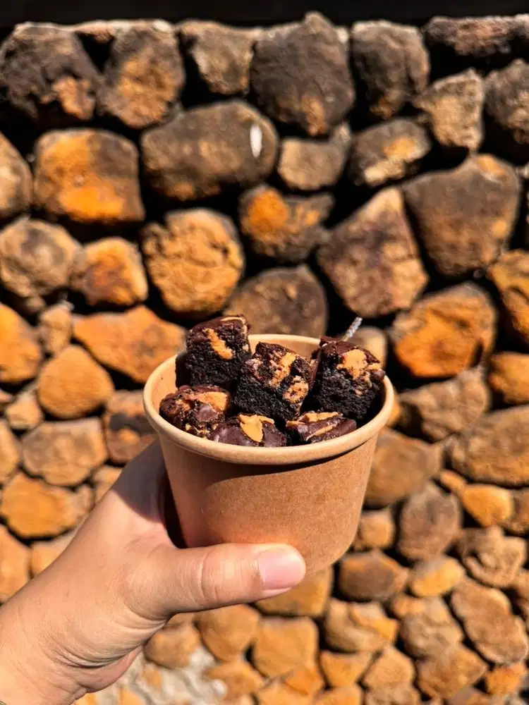 Peanut Butter Brownies