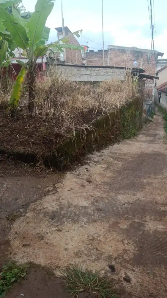 Di jual tanah  4 tumbak  harga murah