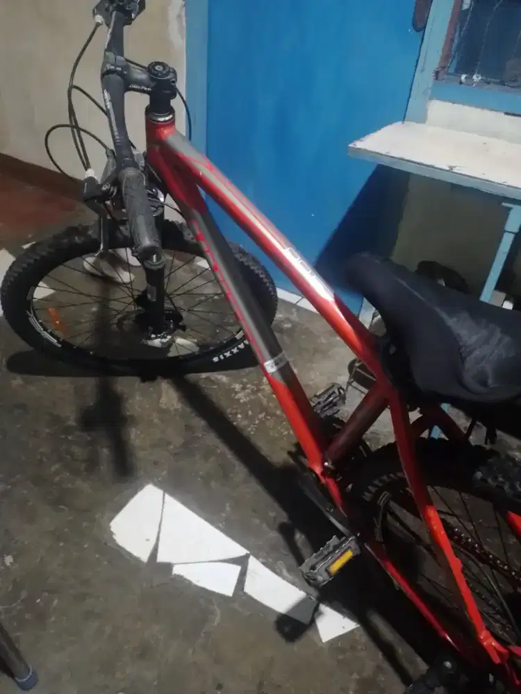 Mtb 26 nucleus united