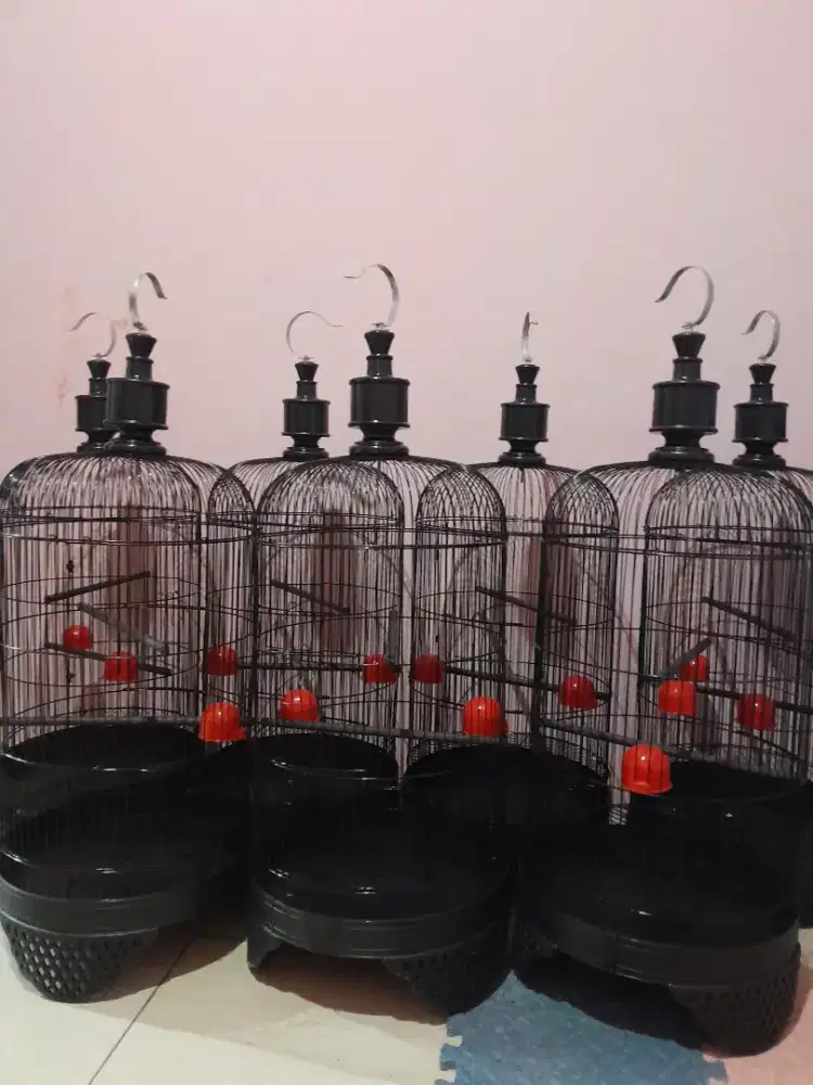 KK LB Standar kualitas Super