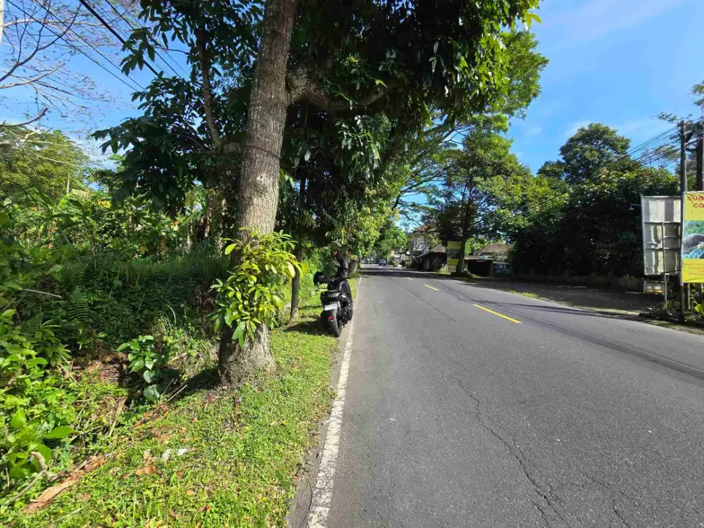 Dijual tanah kecil datar di pinggir jalan utama mengwi singaraja di bali