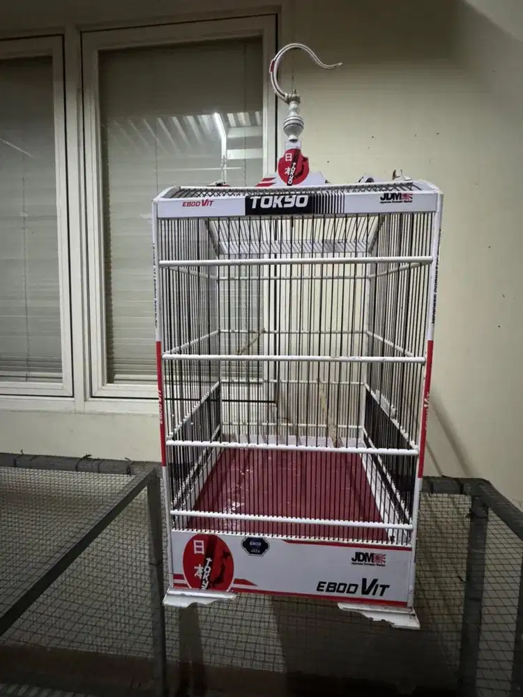 borongan 3 kandang kotak