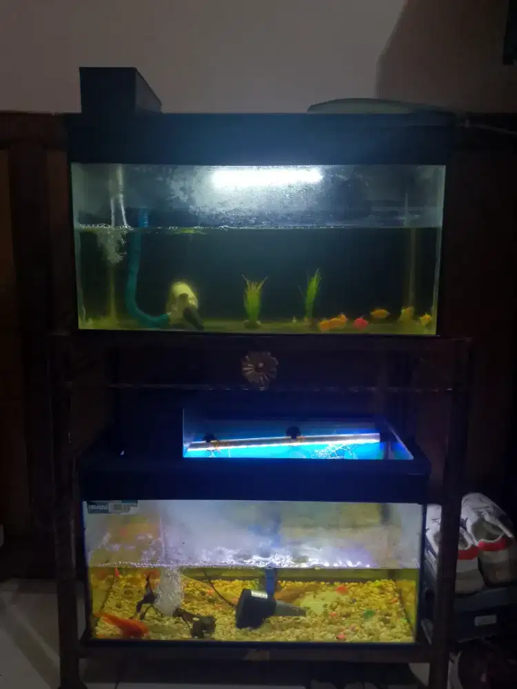 Jual aquarium full set