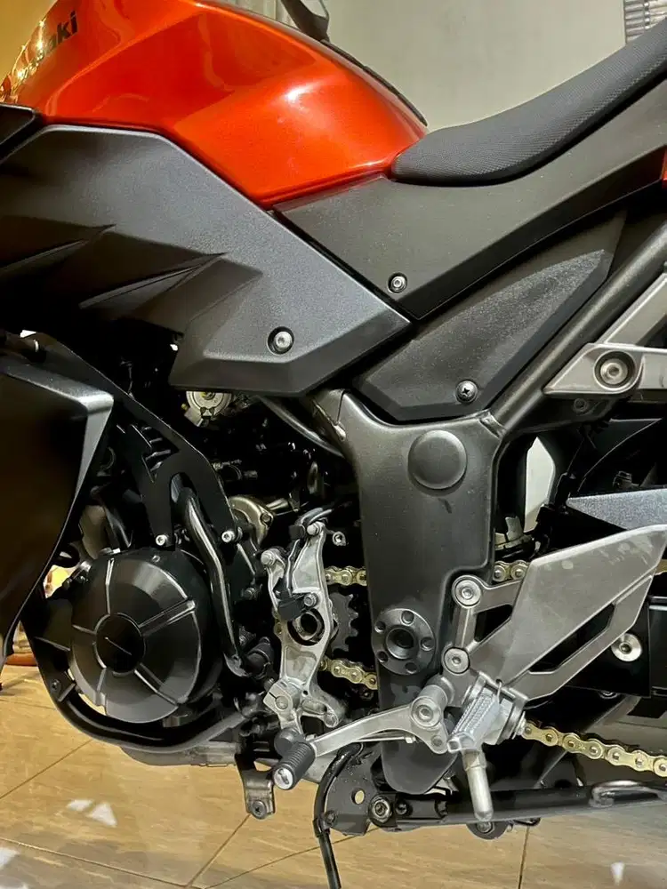 Ninja z250 2014