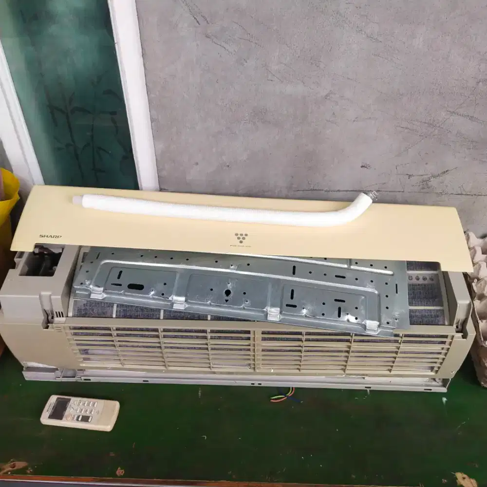 AC Sharp Ion Plasma Cluster 1 PK